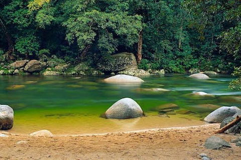 SHUTTLE - Mossman Gorge & Cooya Beach From Port Douglas (Return Transfer) - Accommodation Directory 1