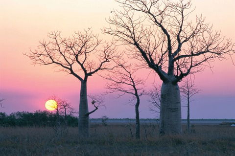 8-Day Outback Experience From Queensland - Accommodation Directory 0