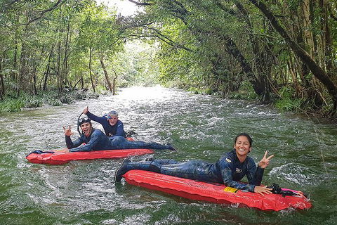 Mossman Gorge Adventure Day - Accommodation Directory 4