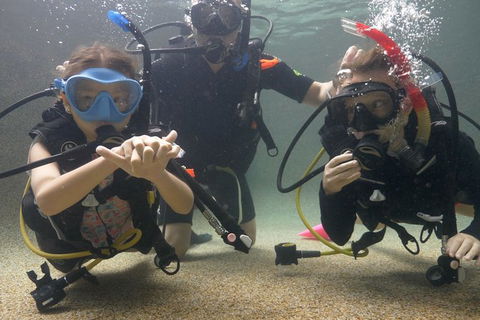 Scuba Kids- Padi Bubblemaker Course - Accommodation Directory 4