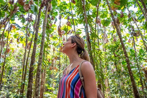 5 Day Australia Retreat: Queensland Daintree - Accommodation Directory 3