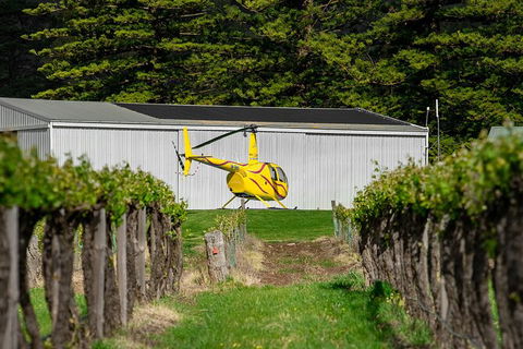 Barossa Valley Deluxe: 30-Minute Helicopter Flight - Accommodation Directory 3