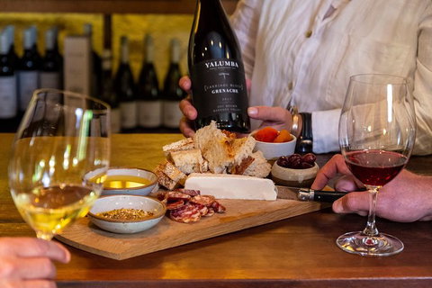Yalumba Nursery & Grenache Discovery Tour + Platter Lunch - Accommodation Directory 2