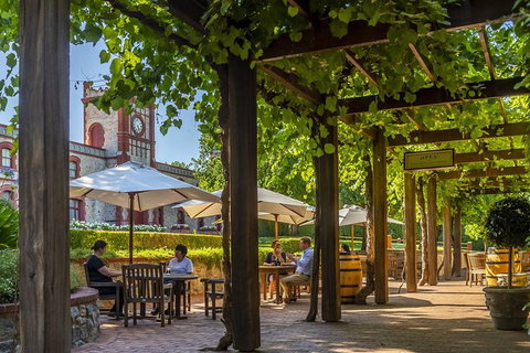 Yalumba Nursery & Grenache Discovery Tour + Platter Lunch - Accommodation Directory 4