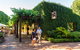 Yalumba Nursery & Grenache Discovery Tour + Platter Lunch - thumb 3
