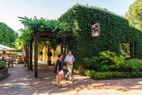 Yalumba Nursery & Grenache Discovery Tour + Platter Lunch - Accommodation Directory 3