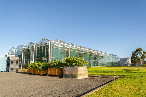 Yalumba Nursery & Grenache Discovery Tour + Platter Lunch - Accommodation Directory 5