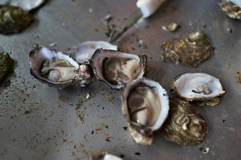 Fine Flavours - Full Day Kangaroo Island Food & Wine Tour - Accommodation Directory 10