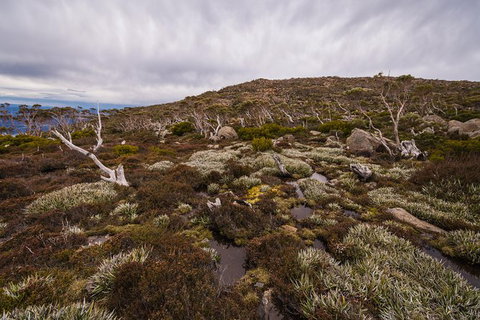 Alpine Loop - Accommodation Directory 0