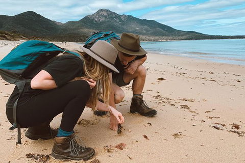 Freycinet Walking Tour - Accommodation Directory 0