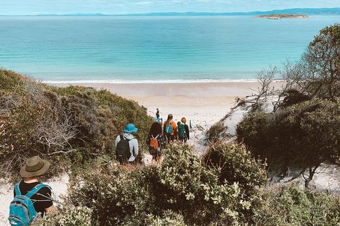 Freycinet Walking Tour - Accommodation Directory 2