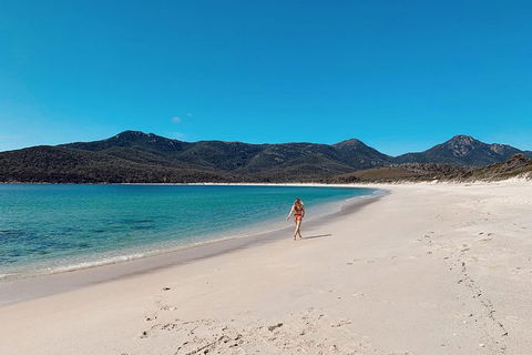 Freycinet Walking Tour - Accommodation Directory 5