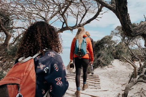 Freycinet Walking Tour - Accommodation Directory 6