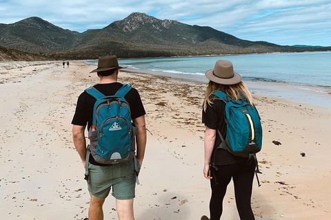 Freycinet Walking Tour - Accommodation Directory 7