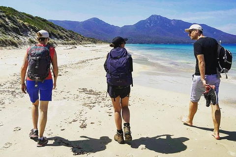 Freycinet Walking Tour - Accommodation Directory 1