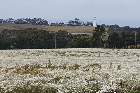 Cruise Ship Excursion: NW Tassie Coastal Explorer - Accommodation Directory 14