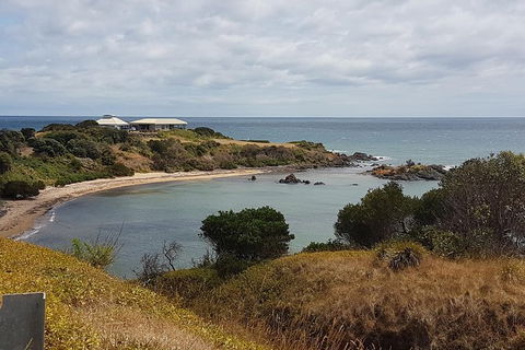 Cruise Ship Excursion: NW Tassie Coastal Explorer - Accommodation Directory 13