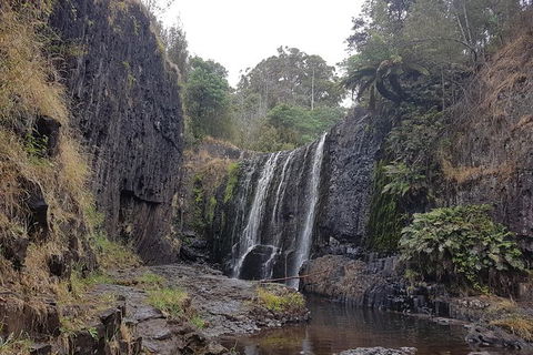 Cruise Ship Excursion: NW Tassie Coastal Explorer - Accommodation Directory 16