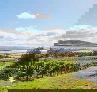 Launceston Wine  Sightseeing Tours - Accommodation Directory