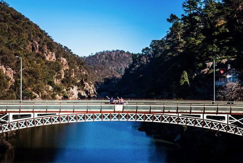 3.5 Hours Walking Tour To Cataract Gorge With Local Guide - Accommodation Directory 5