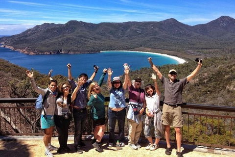 Half-Day Tour To Wineglass Bay From Launceston With Guide - Accommodation Directory 5