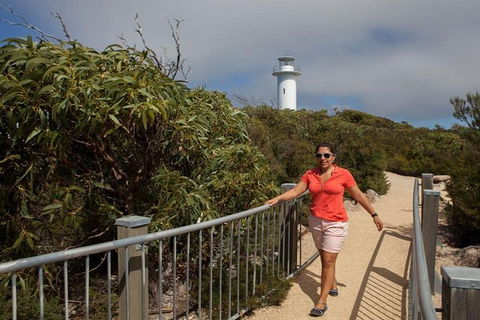 Half-Day Tour To Wineglass Bay From Launceston With Guide - Accommodation Directory 2