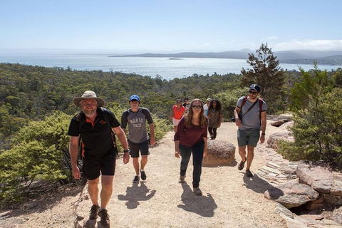 Half-Day Tour To Wineglass Bay From Launceston With Guide - Accommodation Directory 4