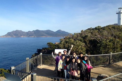 Half-Day Tour To Wineglass Bay From Launceston With Guide - Accommodation Directory 3