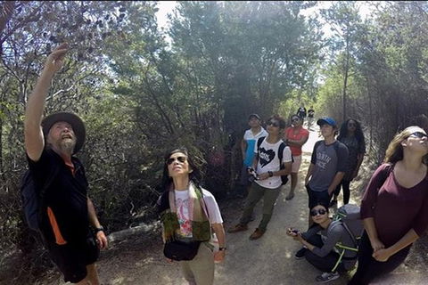 Half-Day Tour To Wineglass Bay From Launceston With Guide - Accommodation Directory 1