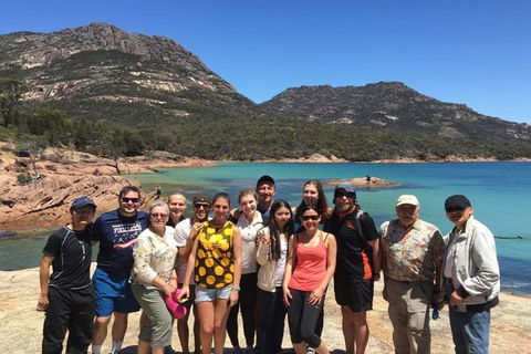 Half-Day Tour To Wineglass Bay From Launceston With Guide - Accommodation Directory 0