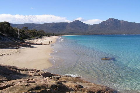 4-Day Fabulous Tasmania Tour: Wineglass Bay, Port Arthur, Devils & Bruny Island - Accommodation Directory 10