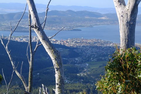 Mt. Wellington Morning Hike + Afternoon Beer & History Walk - Accommodation Directory 10