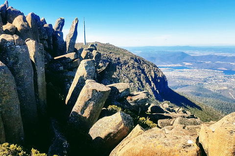 Mt. Wellington Morning Hike + Afternoon Beer & History Walk - Accommodation Directory 11