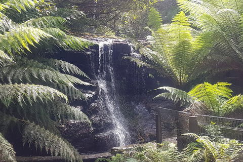 Mt. Wellington Morning Hike + Afternoon Beer & History Walk - Accommodation Directory 16