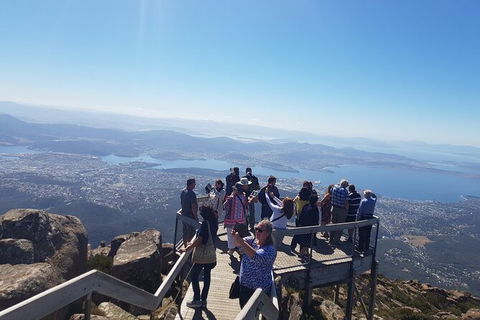 Mt. Wellington Morning Hike + Afternoon Beer & History Walk - Accommodation Directory 2
