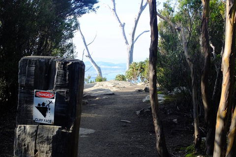 Mt. Wellington Morning Hike + Afternoon Beer & History Walk - Accommodation Directory 14