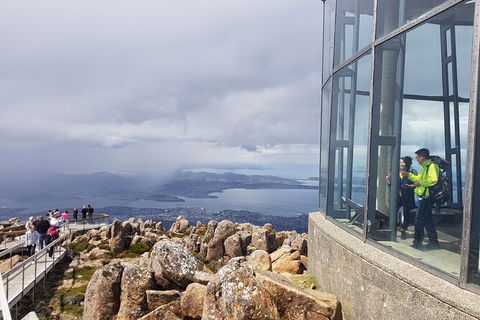 Mt. Wellington Morning Hike + Afternoon Beer & History Walk - Accommodation Directory 12