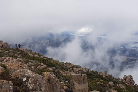 Mt. Wellington Morning Hike + Afternoon Beer & History Walk - Accommodation Directory 18