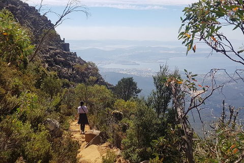 Mt. Wellington Morning Hike + Afternoon Beer & History Walk - Accommodation Directory 1