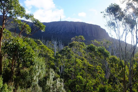 Mt. Wellington Morning Hike + Afternoon Beer & History Walk - Accommodation Directory 4