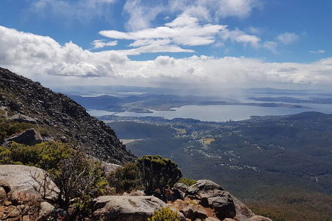 Mt. Wellington Morning Hike + Afternoon Beer & History Walk - Accommodation Directory 5