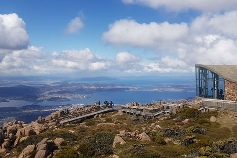 Mt. Wellington Morning Hike + Afternoon Beer & History Walk - Accommodation Directory 3