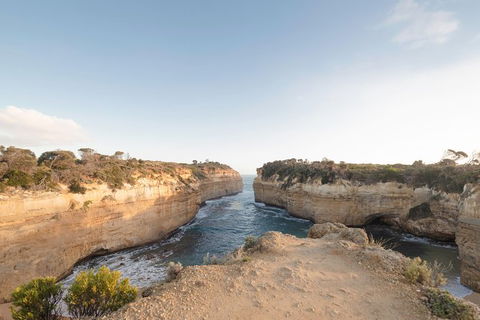 PRIVATE Great Ocean Road Tour And 12 Apostles With Wildlife Spotting - Accommodation Directory 1