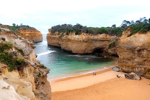 The Great Ocean Road 1 Day Private Sunset Tour - Accommodation Directory 3