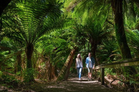 The Great Ocean Road 1 Day Private Sunset Tour - Accommodation Directory 1
