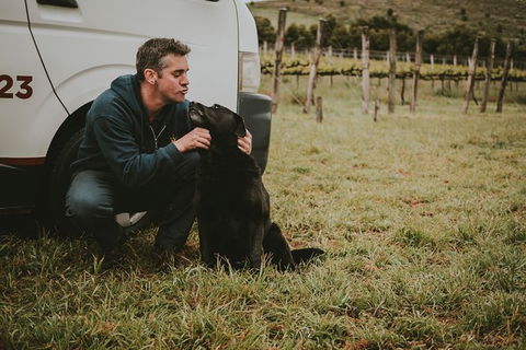 Daylesford Private, Corporate, Group Wine Tours: Wine, Cider, Gin, Vodka, Port! - Accommodation Directory 3
