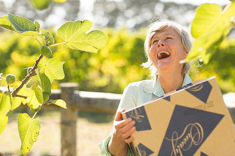 Mornington Peninsula 2-6 Guests Lunch And Inc Wine Tasting At Quealy Winemakers - Accommodation Directory 4