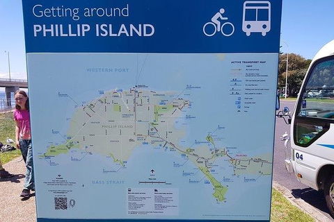 Phillip Island Penguin And Wildlife Tour - Accommodation Directory 28