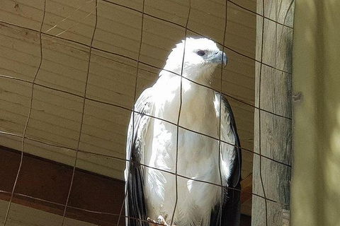 Phillip Island Penguin And Wildlife Tour - Accommodation Directory 21