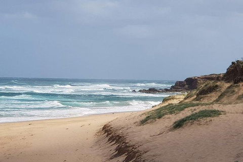 Phillip Island Penguin And Wildlife Tour - Accommodation Directory 10